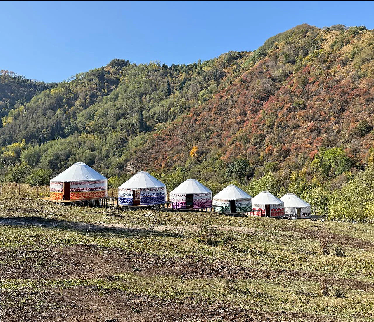 Yurt Balkymyz — юрты среди природы Бутаковки